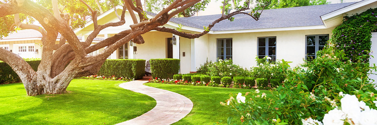 Colorado Homeowners with home insurance coverage